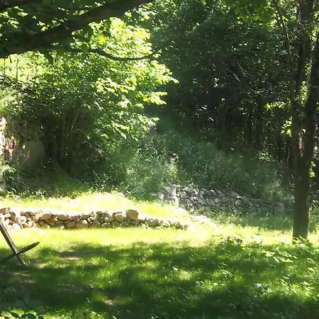 Tente Tipi En Pleine Foret Роскошный шатер