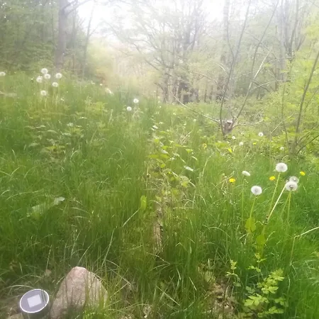 Lyxtält Tente Tipi En Pleine Foret Burzet